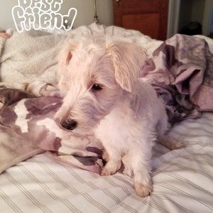 Meet your Posher, Julie